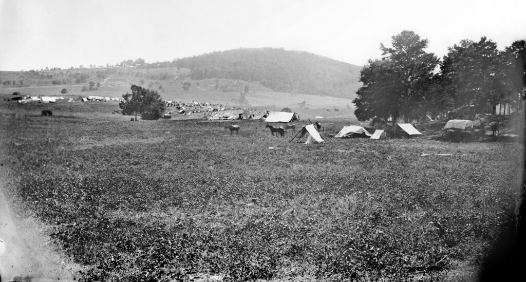 Center of the Cedar Mountain Battlefield. Timothy O'Sullivan, 1862.